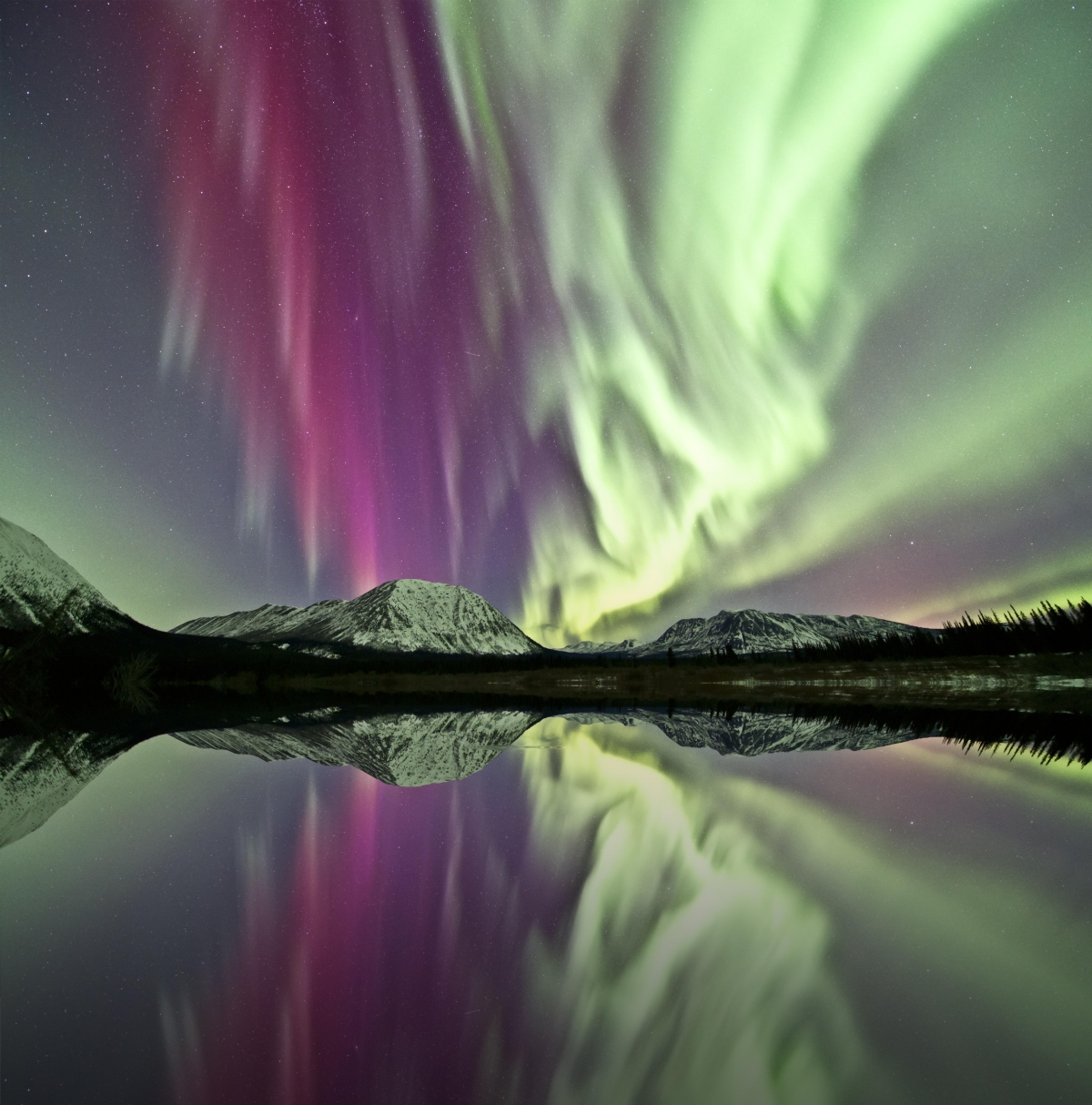 Purple and green northern lights reflecting on a lake